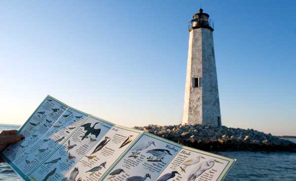 New Point Lighthouse - Mathews County, Virginia